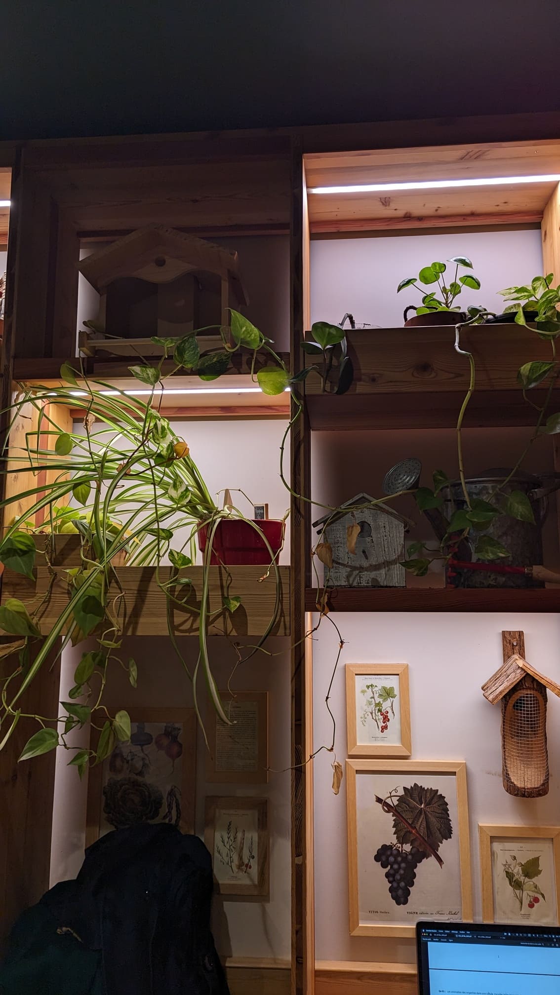 Café Potager Strasbourg