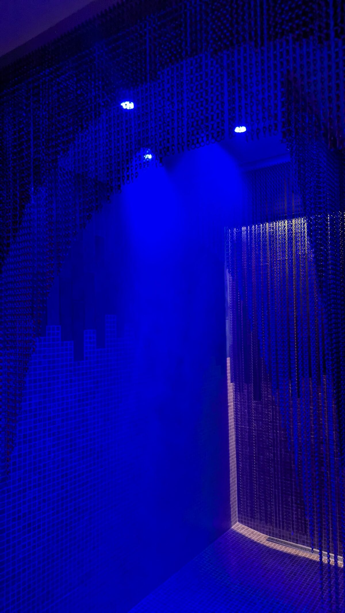Hôtel restaurant Spa Les Violettes Jungoltz