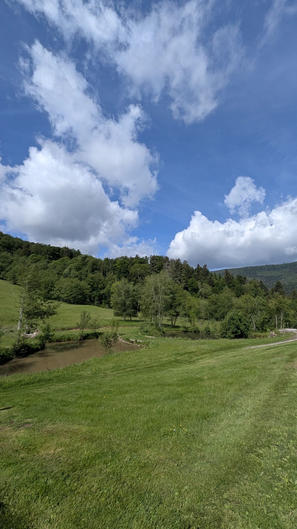 Les Cabanes du Nideck : logements insolites en Alsace