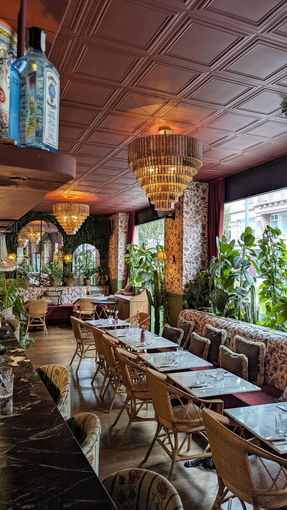 Tigermilk à Strasbourg : saveurs d’Amérique latine