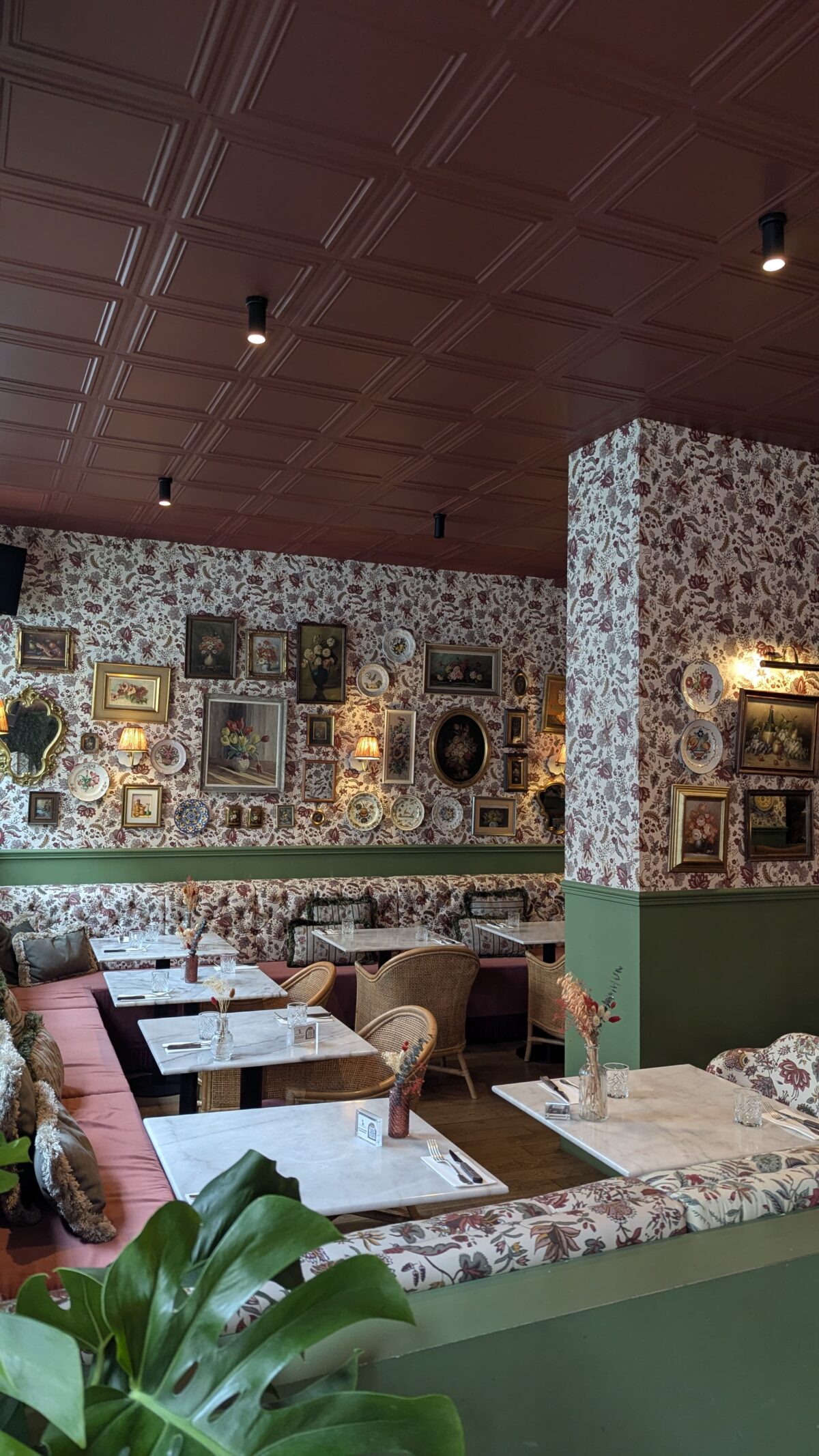 Tigermilk à Strasbourg : saveurs d’Amérique latine