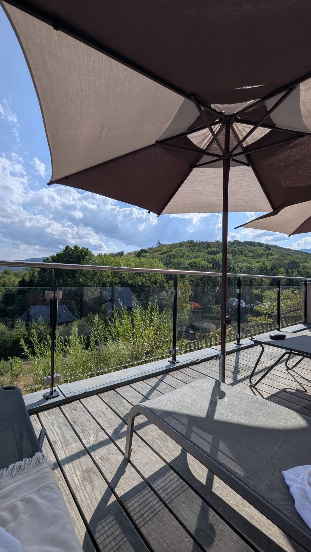 Hôtel-spa Arnold à Itterswiller