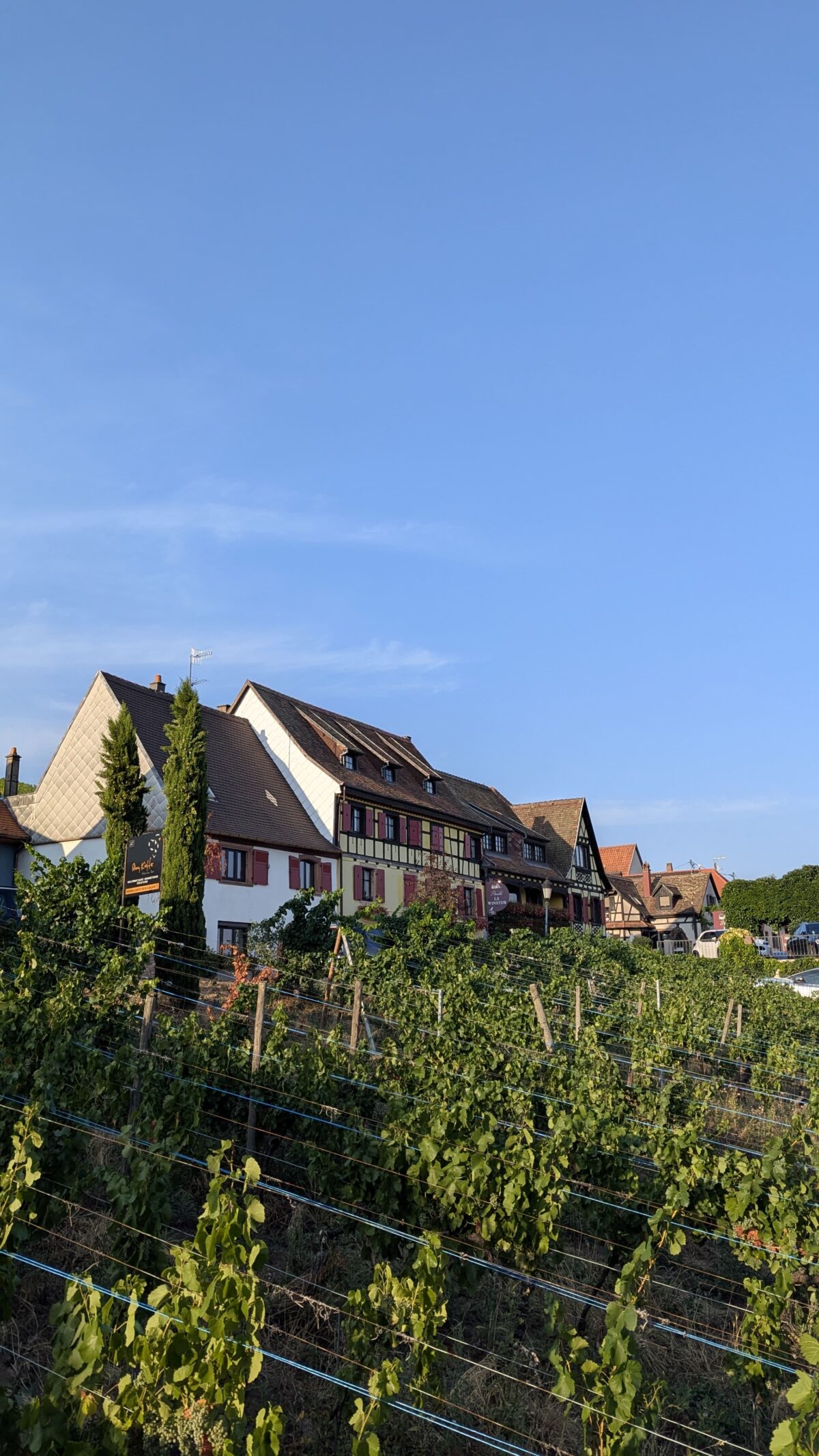Hôtel-spa Arnold à Itterswiller