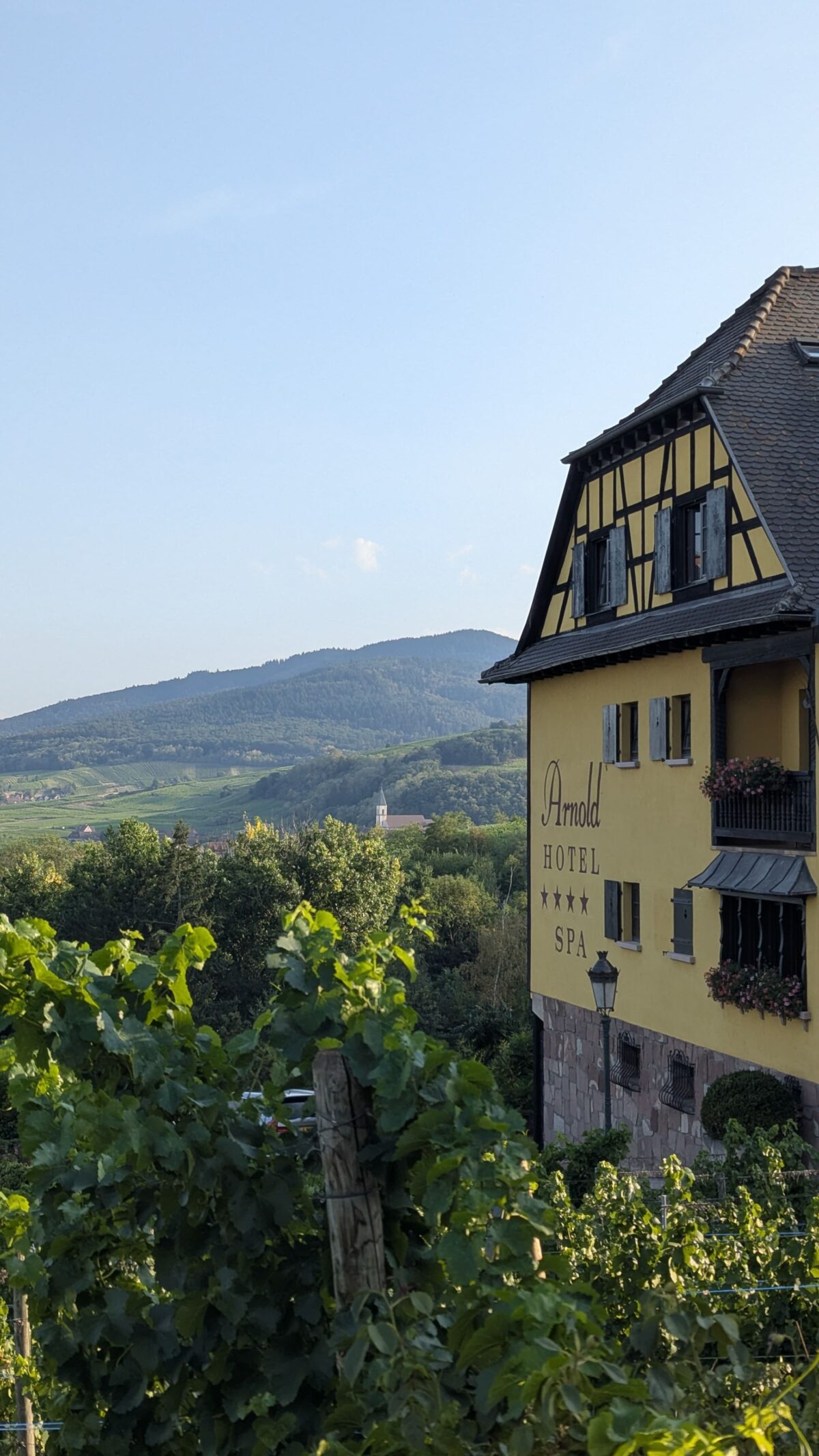 Hôtel-spa Arnold à Itterswiller